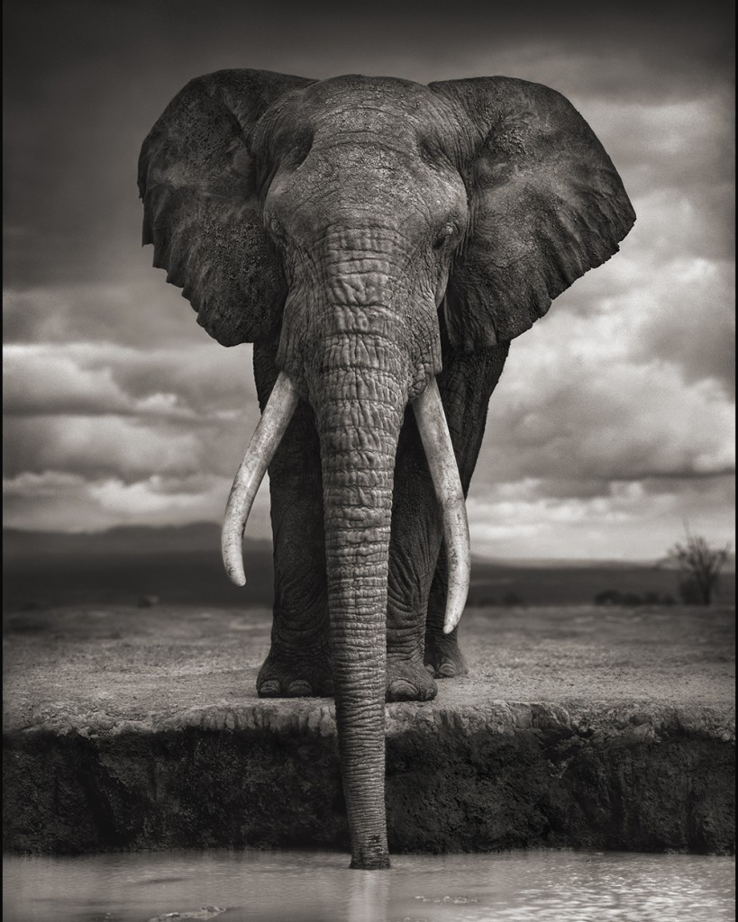 Foto: Nick Brandt